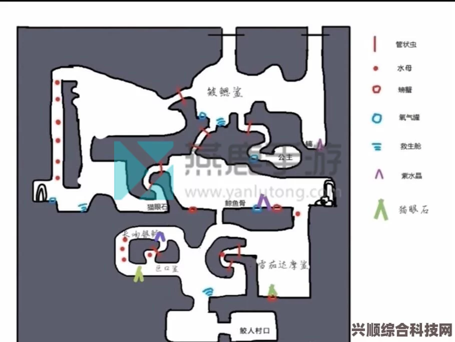 潜水员戴夫中的粉色快递位置探索与攻略问答
