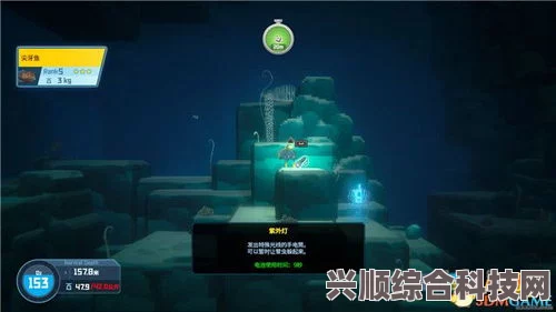 潜水员戴夫攻略，全流程详解与常见问题解答