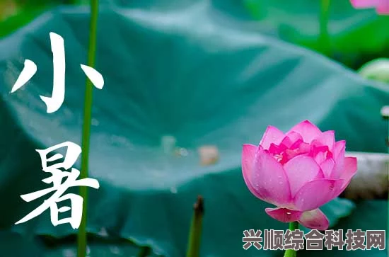 小暑文案及祝福语 2023最新版，炎炎夏日的温馨祝愿