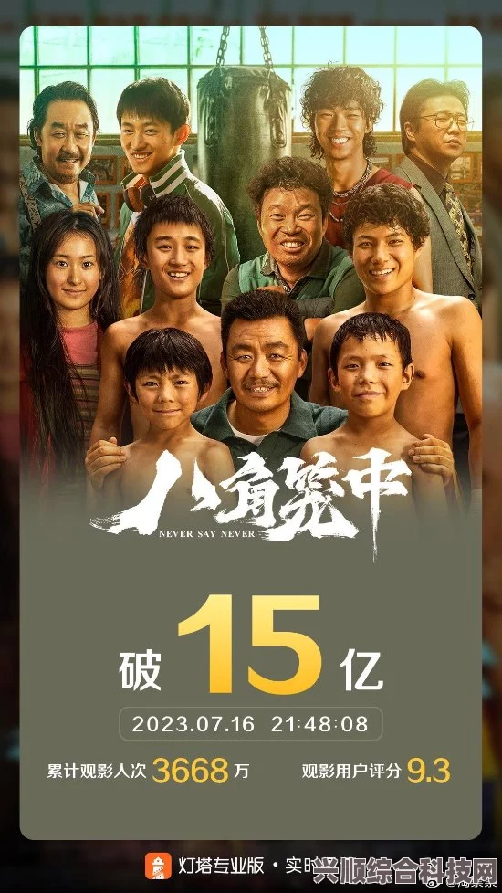 八角笼中电影票房分析与解读