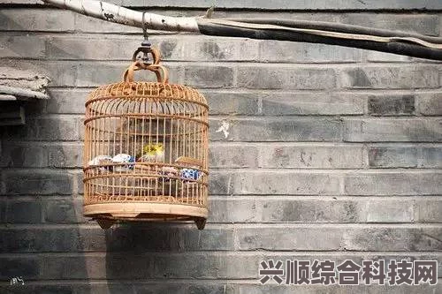 揭秘八角笼中的拍摄秘境，取景地深度解析