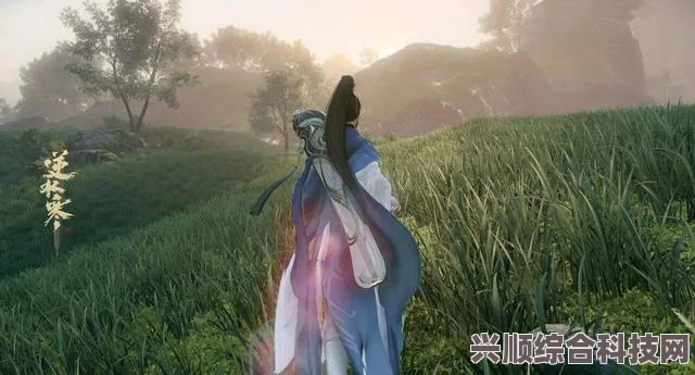逆水寒手游宋辽边境攻略，详细指南与问答解答