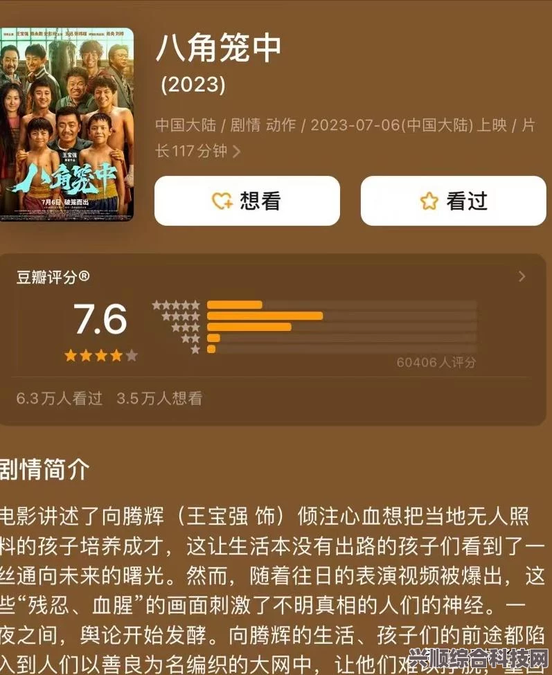 八角笼中电影深度解析，评分背后的故事与豆瓣评分揭晓