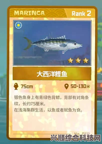 潜水员戴夫，大西洋鲣鱼的寻觅之旅