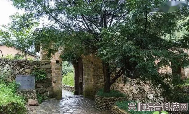桃源深处有人家布局攻略，落槐浮香攻略揭秘