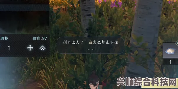 逆水寒手游宋辽边境山洞探索攻略，位置与探索指南