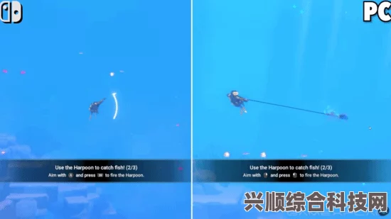 潜水员戴夫经理角色深度解析，核心职能与影响力的全面把握
