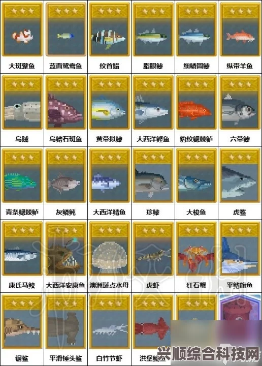 潜水员戴夫经理职位作用详解，掌握核心职能与影响力