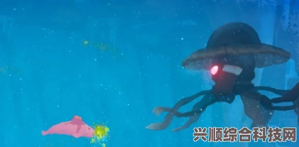探索潜水员戴夫，暴风雨漩涡的秘密与地点揭秘