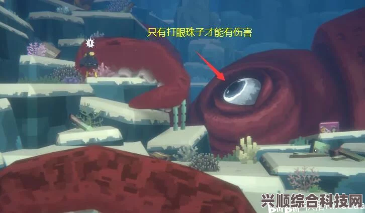 潜水员戴夫，幽灵毒鱿鱼的捕捉方法与策略