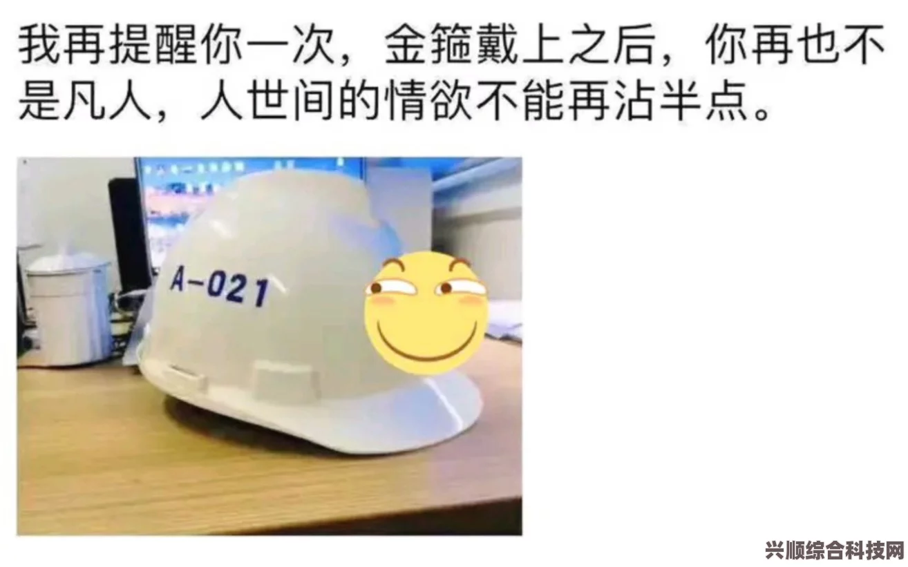 土木圣经，网络新梗的深度解析