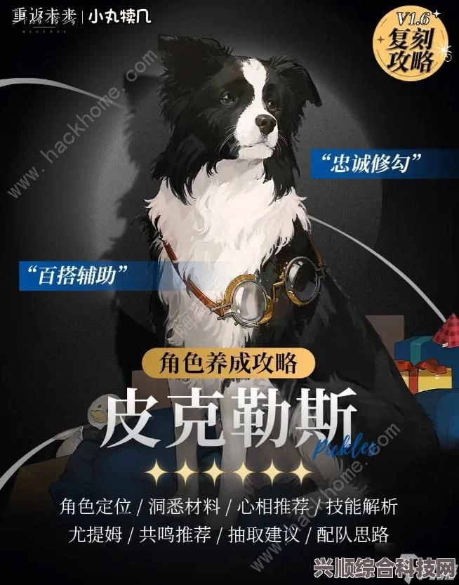 重返未来1999，皮克勒斯共鸣推荐与选择指南