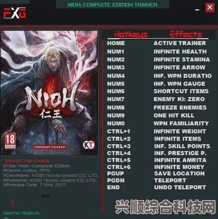 仁王修改器下载指南及常见问题解答