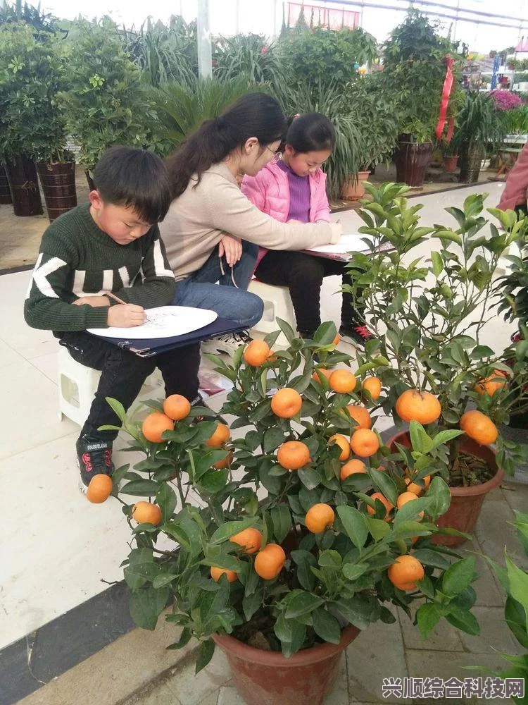 和平精英水族馆，锦鲤与鱼类放置的限制原因解析