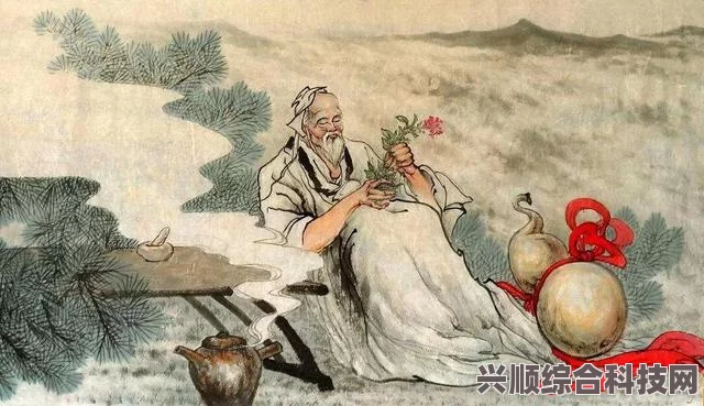 张仲景伤寒杂病论与桃源深处的萝卜之谜探究