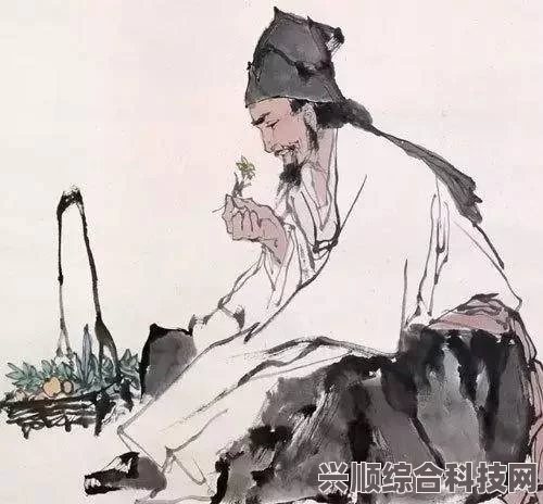 伤寒杂病论，张仲景的医学巨著与桃源深处的萝卜之谜