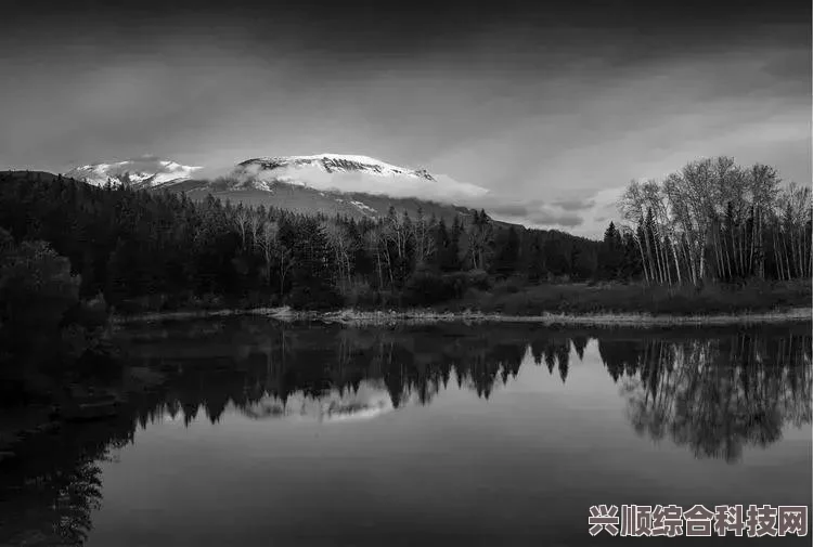 逆水寒手游乌云白雪存活攻略详解，触发条件与前置任务全解析
