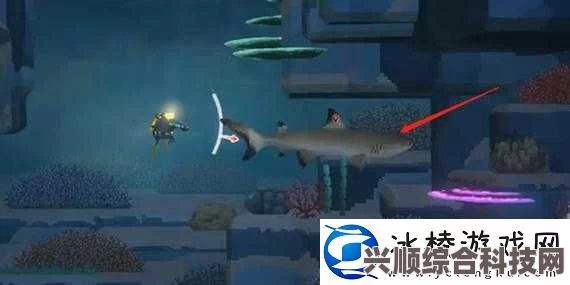 潜水员戴夫冰川底的鲨鱼攻略及最底端鲨鱼打法技巧