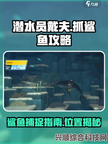 潜水员戴夫冰川底鲨鱼攻略，攻略详解与最底端鲨鱼打法揭秘