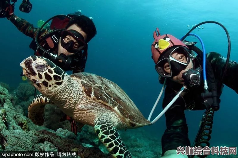 潜水员戴夫揭秘深海探险之旅，神秘宝藏与未知生物共舞