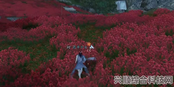 逆水寒手游，昔年鹰唳挑战攻略与打法详解