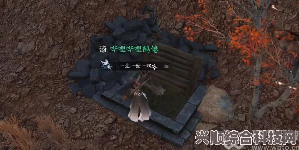 逆水寒手游宋辽边境地下矿洞进入方法及攻略分享