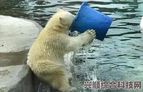 尘白禁区武器适配率作用介绍及其重要性