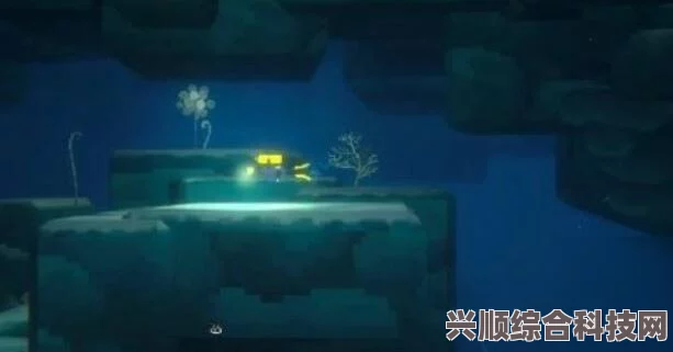 潜水员戴夫，羽状与莲状珊瑚探索及制作宝典