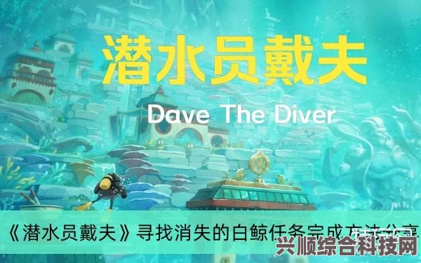 潜水员戴夫的白鲸之谜，探索神秘海洋生物的位置