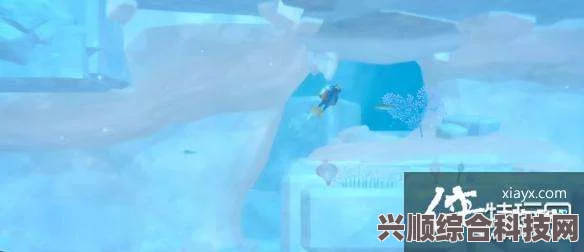 潜水员戴夫的白鲸之谜，探索神秘海洋生物的位置