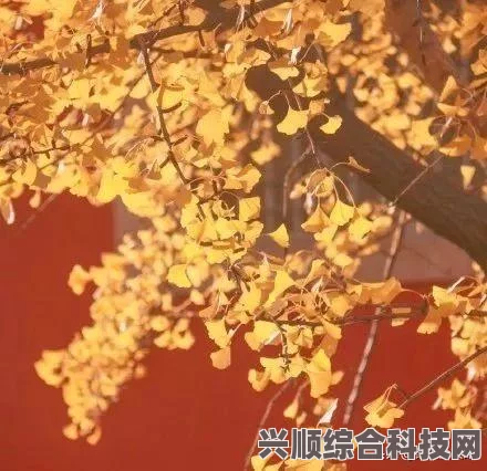 原始袭变，跨平台联机与游戏组合探讨