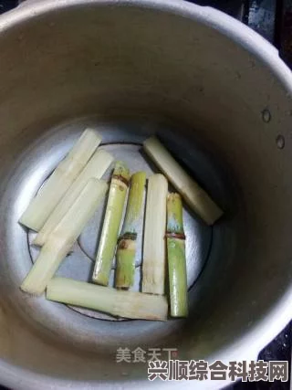 红糖熬制与甘蔗数量揭秘，萝卜谜语解析及问答环节