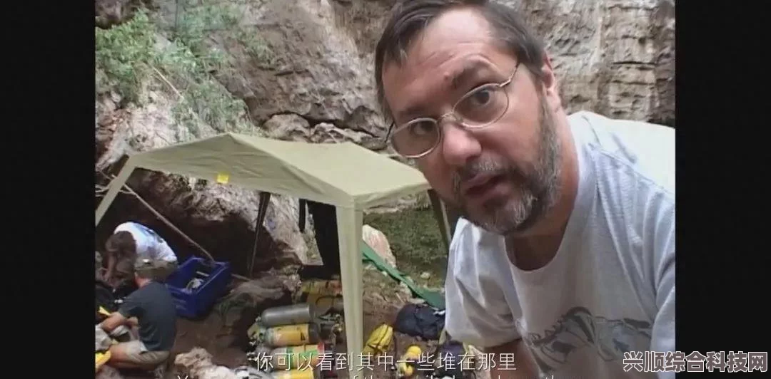 潜水员戴夫鲨鱼牙齿小游戏攻略，高效刷钱方法与问答解答