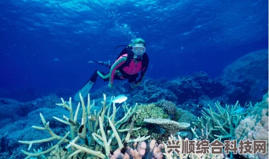 潜水员戴夫探索热泉喷出区域的神秘鱼类