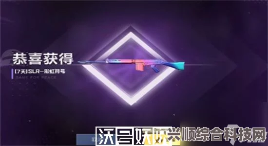 和平精英SLR彩虹符号皮肤获取攻略及常见问题解答