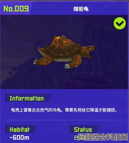 揭秘潜水员戴夫鱼怪出没地点与攻略，一网打尽神秘海洋生物
