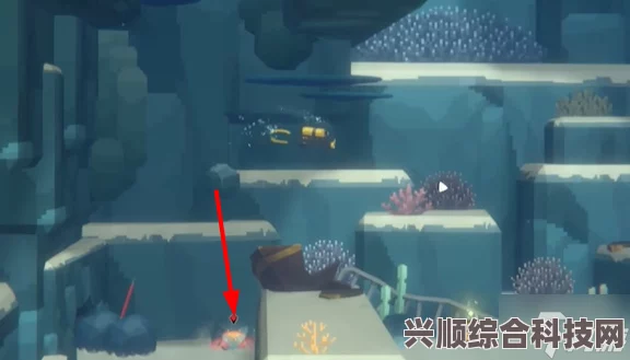 揭秘潜水员戴夫鱼怪出没地点与抓捕攻略