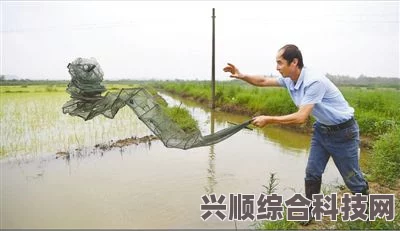 潜水员戴夫海藻农场全作物种植时长解析