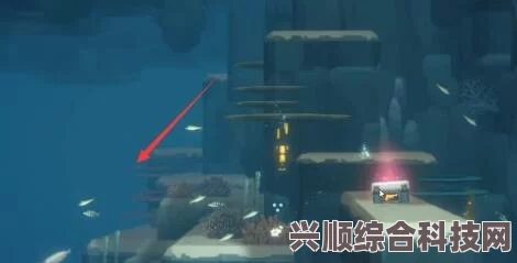 潜水员戴夫达夫的快递任务攻略，粉色包裹追踪揭秘