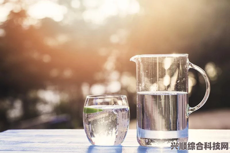 淘宝每日一猜答案揭秘，三伏天成为减肥黄金时期的奥秘探究