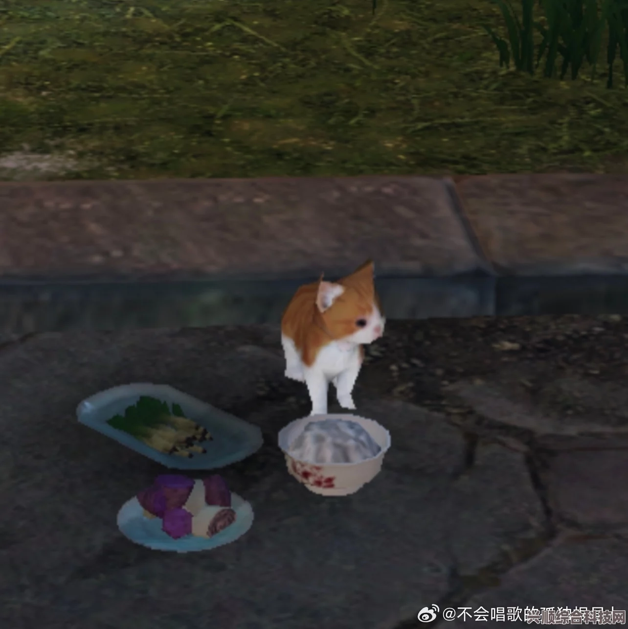 逆水寒手游，小动物喂食指南及深度玩法探索