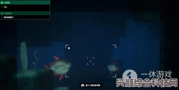 潜水员戴夫夜潜攻略大全，解锁方法与夜晚鱼类探索全解析