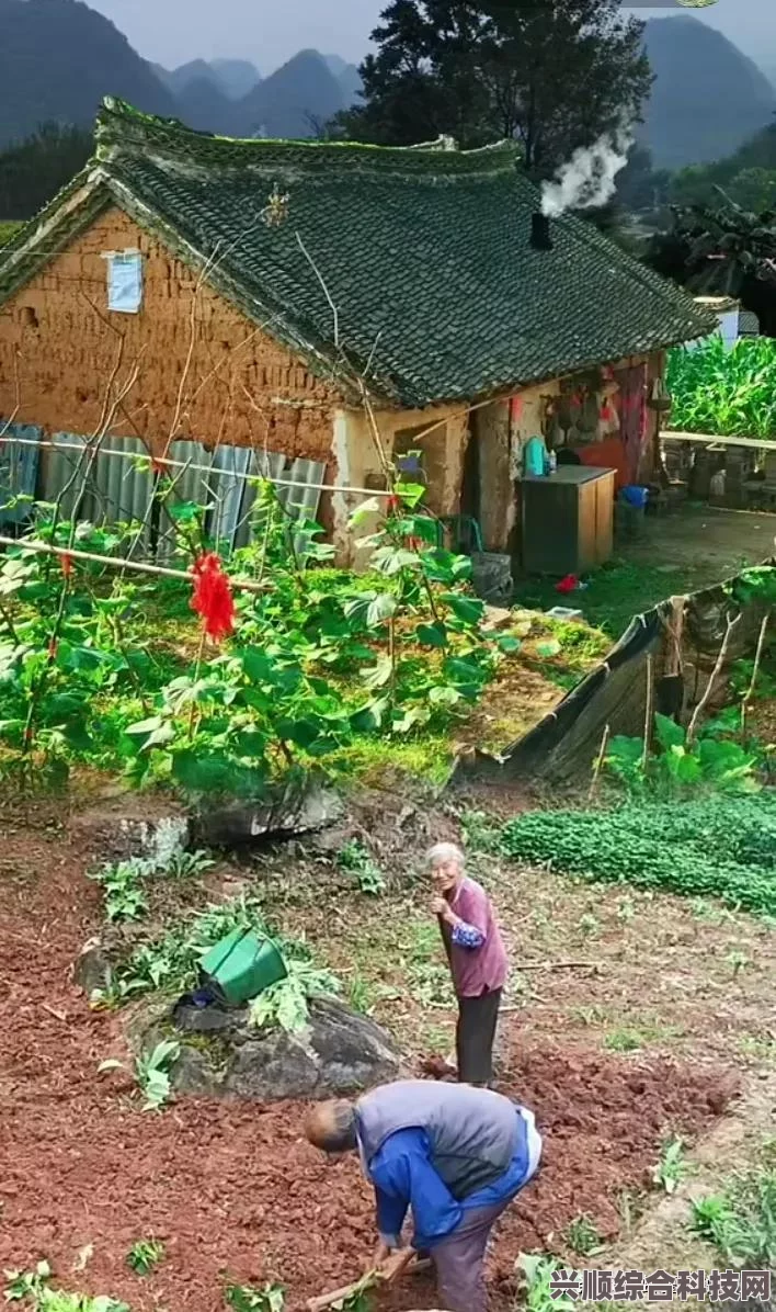 原著小说我的人间烟火深度解析与探讨