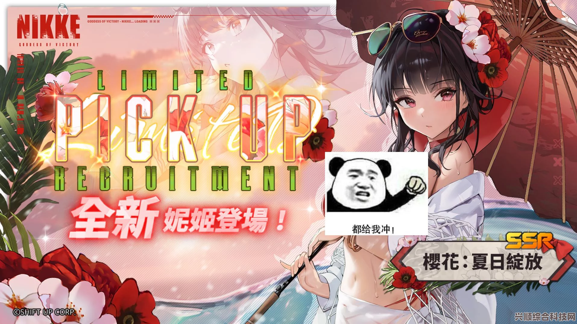 潜水员戴夫如何安抚小海牛？掌握这些技巧是关键！