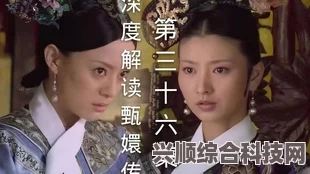 安乐传演员表介绍及深度解读