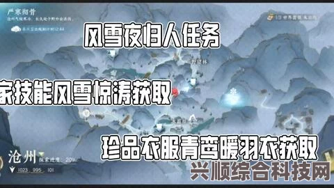 逆水寒手游风雪夜归人攻略大全，探索玩法、策略与技巧分享