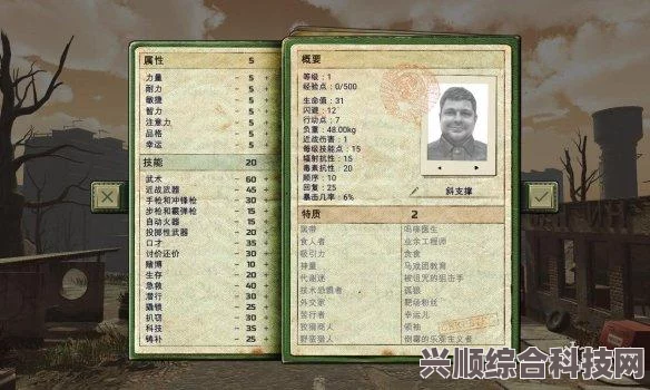 Lmao游戏汉化补丁下载指南及教程