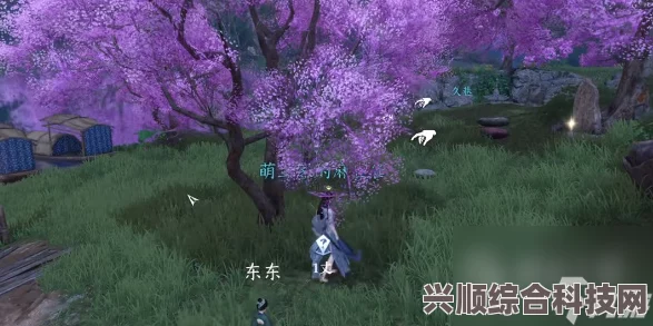 逆水寒手游安水鸣钟任务攻略详解