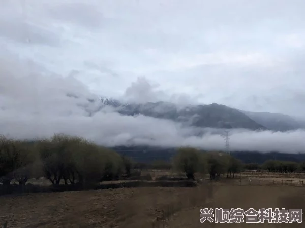 桃源深处有人家，深度攻略与独特体验分享