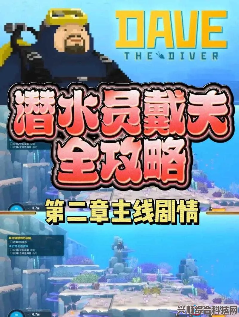 潜水员戴夫的神秘沉船之旅，遇难船位置深度解析